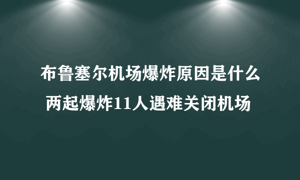 布鲁塞尔机场爆炸原因是什么 两起爆炸11人遇难关闭机场