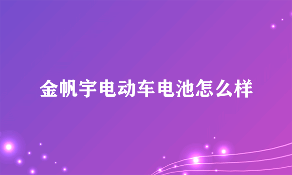 金帆宇电动车电池怎么样