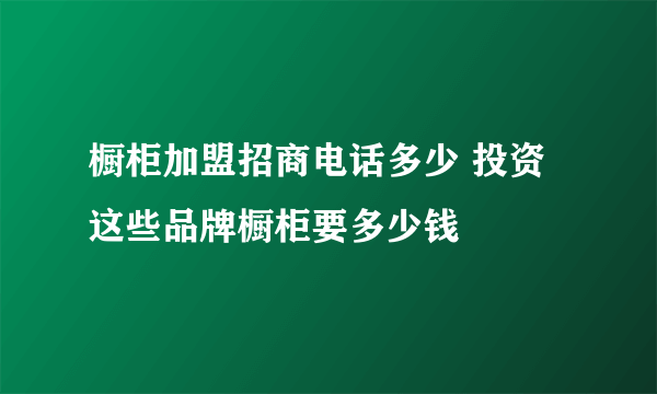 橱柜加盟招商电话多少 投资这些品牌橱柜要多少钱