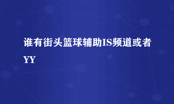 谁有街头篮球辅助IS频道或者YY