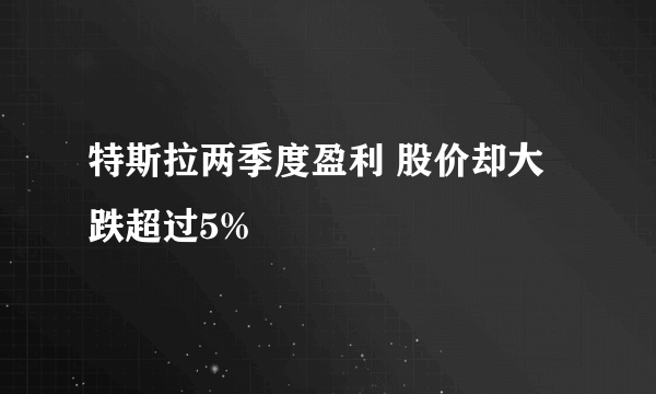 特斯拉两季度盈利 股价却大跌超过5%