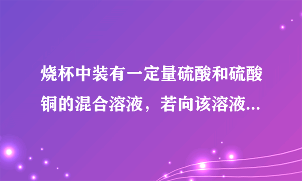 烧杯中装有一定量硫酸和硫酸铜的混合溶液，若向该溶液中加入足量的BaCl