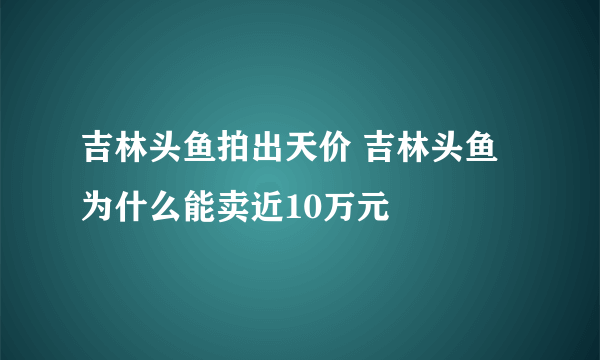 吉林头鱼拍出天价 吉林头鱼为什么能卖近10万元