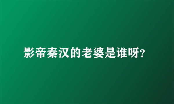 影帝秦汉的老婆是谁呀？