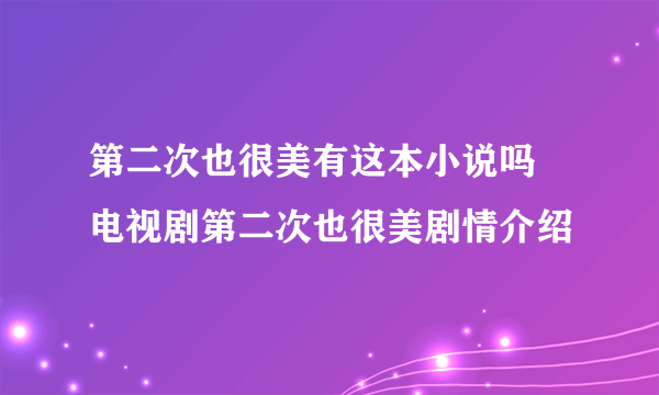 第二次也很美有这本小说吗 电视剧第二次也很美剧情介绍