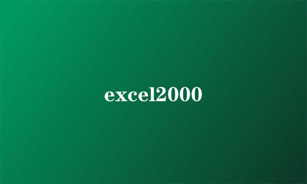 excel2000