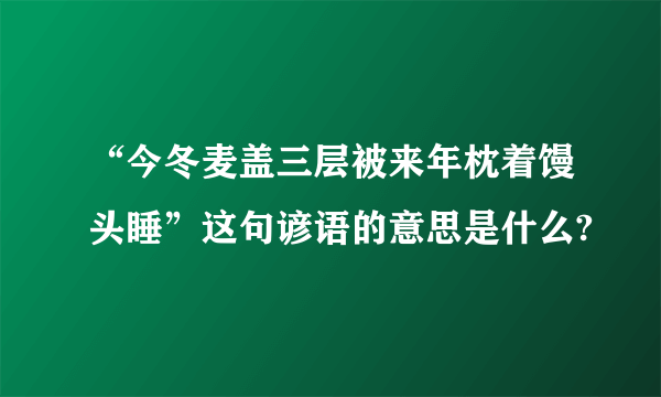 “今冬麦盖三层被来年枕着馒头睡”这句谚语的意思是什么?