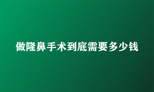 做隆鼻手术到底需要多少钱