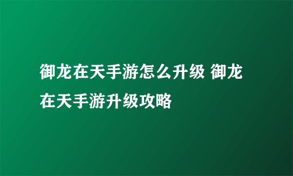 御龙在天手游怎么升级 御龙在天手游升级攻略