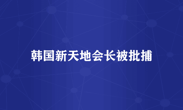 韩国新天地会长被批捕