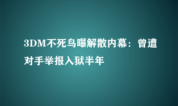 3DM不死鸟曝解散内幕：曾遭对手举报入狱半年