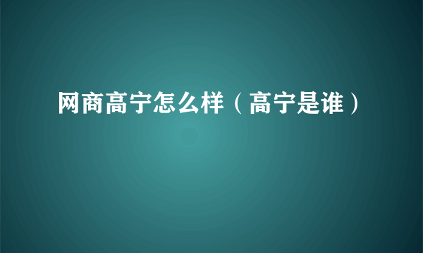 网商高宁怎么样（高宁是谁）