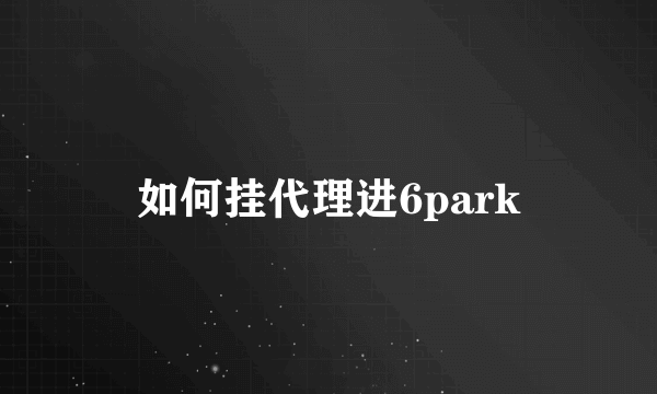 如何挂代理进6park