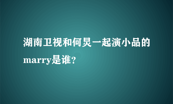 湖南卫视和何炅一起演小品的marry是谁？