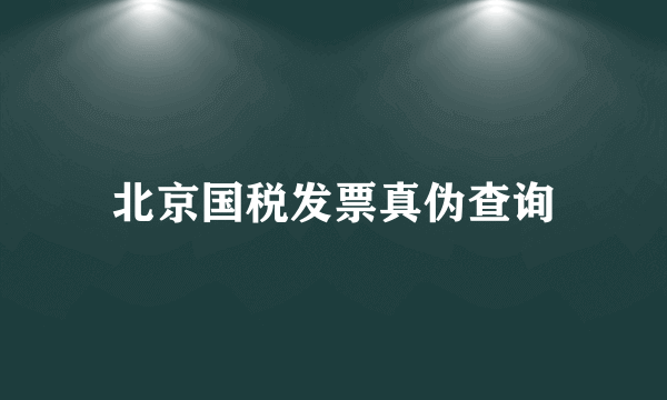 北京国税发票真伪查询