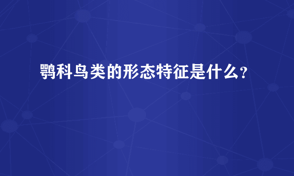 鹗科鸟类的形态特征是什么？