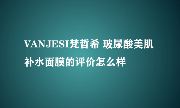 VANJESI梵哲希 玻尿酸美肌补水面膜的评价怎么样