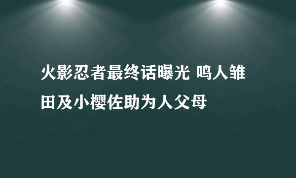 火影忍者最终话曝光 鸣人雏田及小樱佐助为人父母