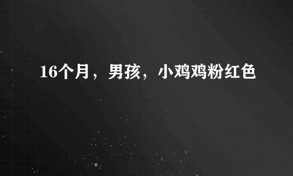 16个月，男孩，小鸡鸡粉红色