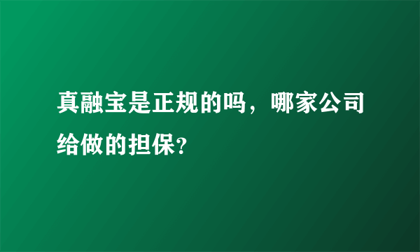 真融宝是正规的吗，哪家公司给做的担保？