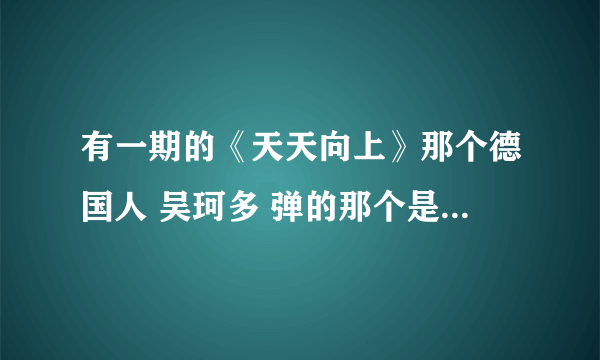 有一期的《天天向上》那个德国人 吴珂多 弹的那个是什么乐器啊？ 怎么弹？