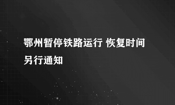 鄂州暂停铁路运行 恢复时间另行通知