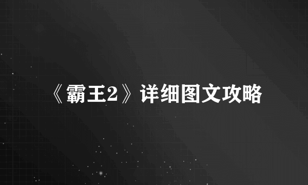 《霸王2》详细图文攻略