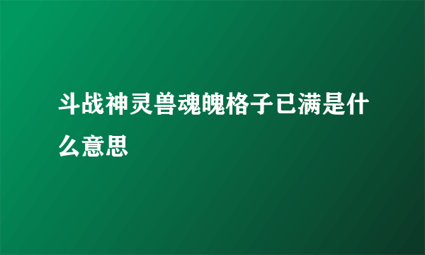 斗战神灵兽魂魄格子已满是什么意思