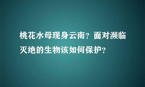 桃花水母现身云南？面对濒临灭绝的生物该如何保护？