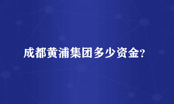 成都黄浦集团多少资金？