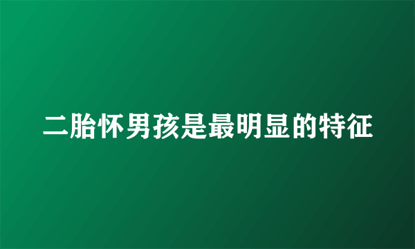 二胎怀男孩是最明显的特征