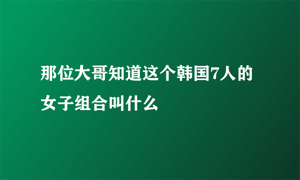 那位大哥知道这个韩国7人的女子组合叫什么