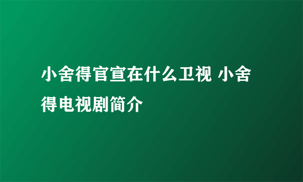 小舍得官宣在什么卫视 小舍得电视剧简介