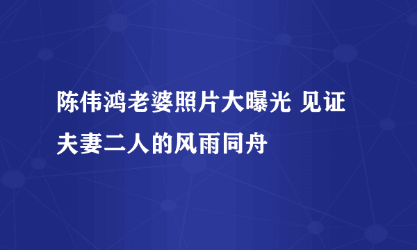 陈伟鸿老婆照片大曝光 见证夫妻二人的风雨同舟