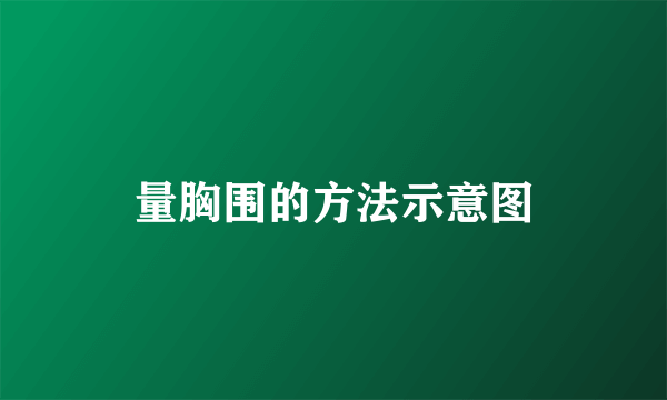 量胸围的方法示意图