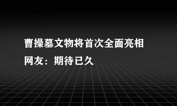 曹操墓文物将首次全面亮相 网友：期待已久