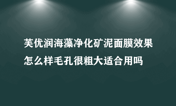 芙优润海藻净化矿泥面膜效果怎么样毛孔很粗大适合用吗