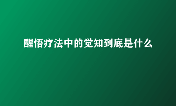 醒悟疗法中的觉知到底是什么