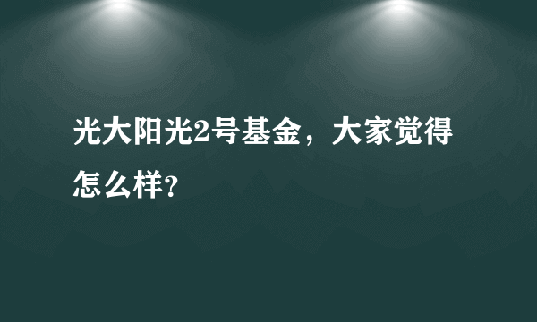 光大阳光2号基金，大家觉得怎么样？