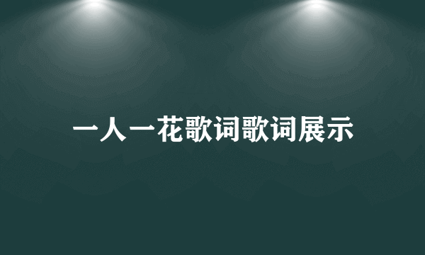 一人一花歌词歌词展示