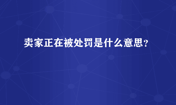 卖家正在被处罚是什么意思？