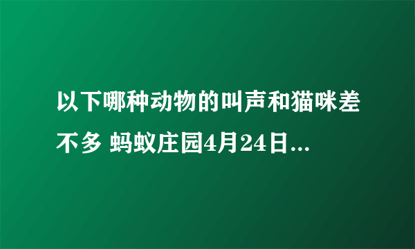 以下哪种动物的叫声和猫咪差不多 蚂蚁庄园4月24日每日一题答案