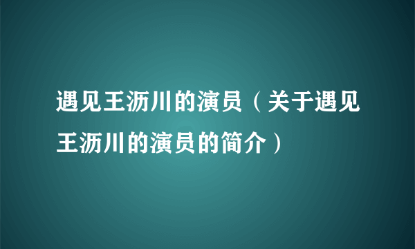 遇见王沥川的演员（关于遇见王沥川的演员的简介）