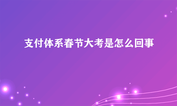 支付体系春节大考是怎么回事