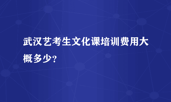 武汉艺考生文化课培训费用大概多少？