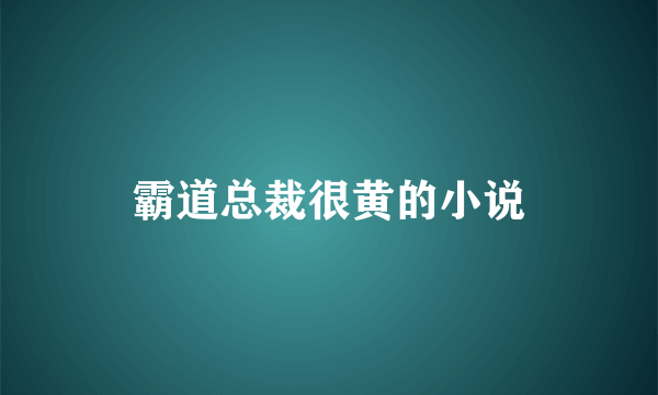 霸道总裁很黄的小说