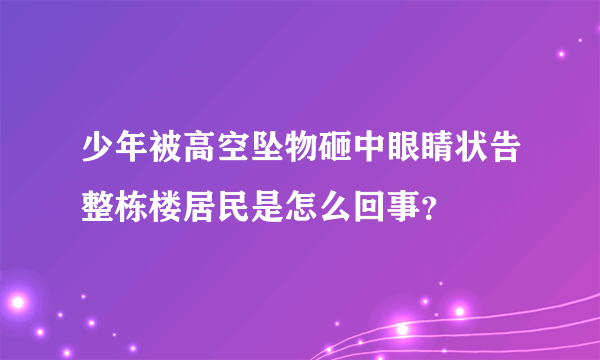 少年被高空坠物砸中眼睛状告整栋楼居民是怎么回事？