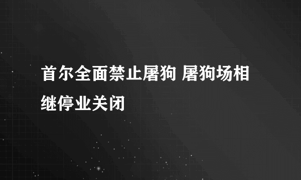 首尔全面禁止屠狗 屠狗场相继停业关闭