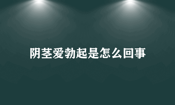 阴茎爱勃起是怎么回事