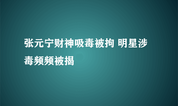 张元宁财神吸毒被拘 明星涉毒频频被揭